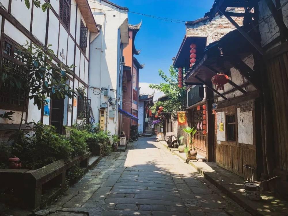 上海影协选举产生新一届理事会，郑大圣任主席